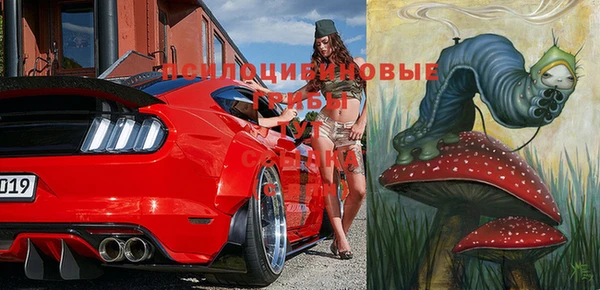 спайс Алексин